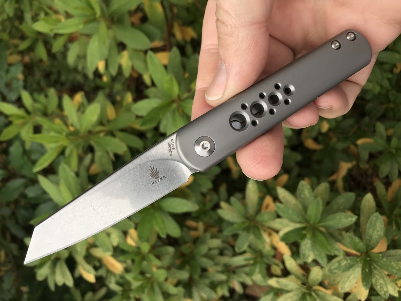 Kizer Feist  Kizer Lundquist Folder Pocket Knife